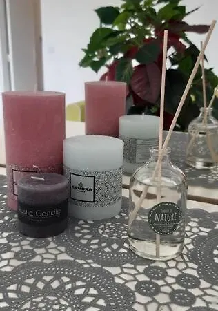 شقة Cosy A نيس